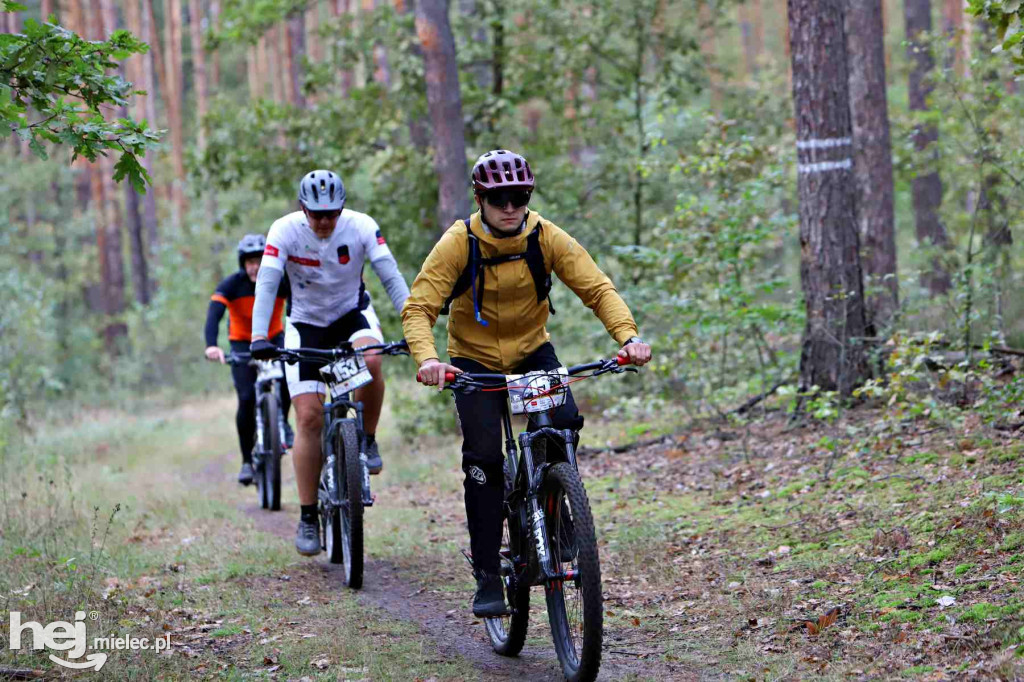15. Wyścig o Pietruszkę