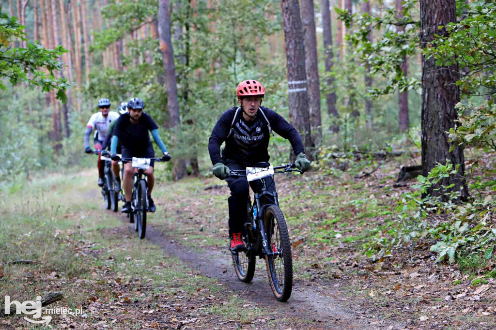 15. Wyścig o Pietruszkę