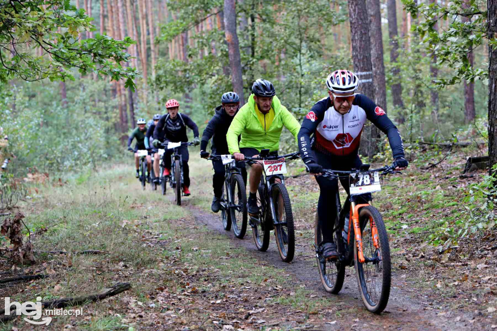 15. Wyścig o Pietruszkę