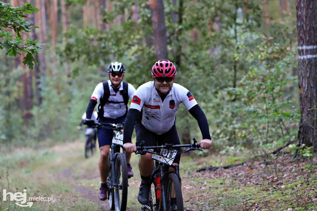 15. Wyścig o Pietruszkę