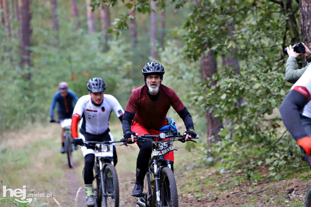 15. Wyścig o Pietruszkę