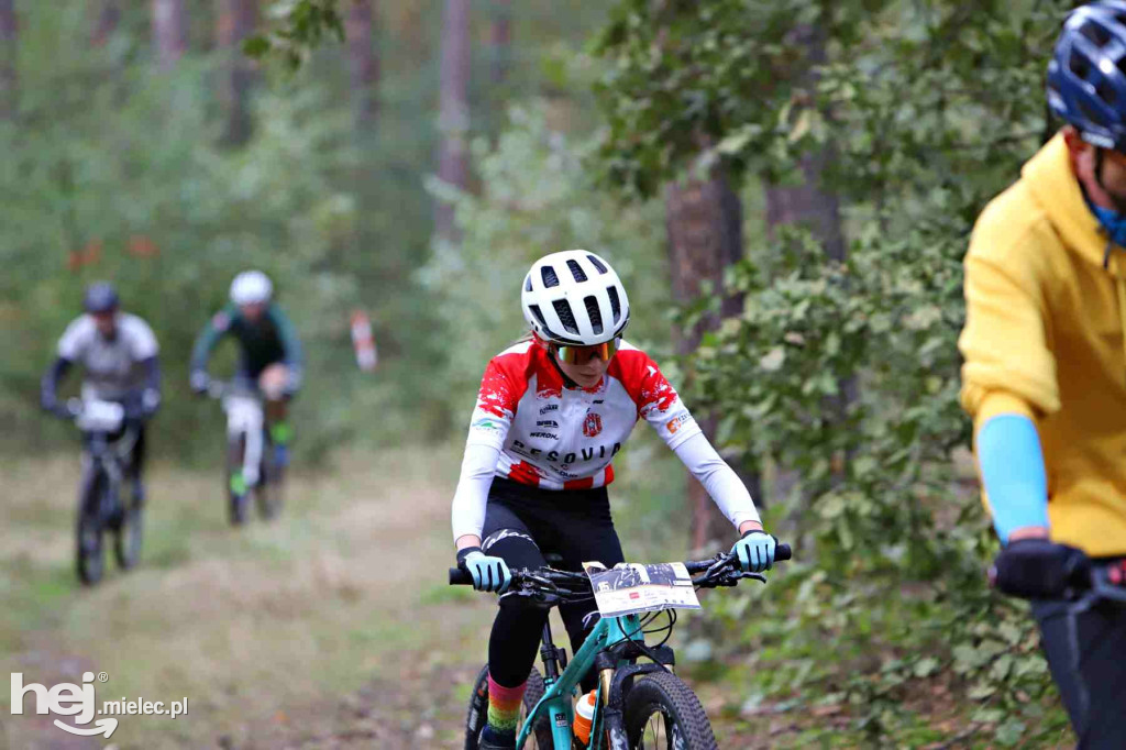 15. Wyścig o Pietruszkę