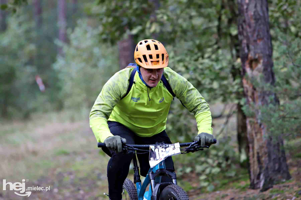 15. Wyścig o Pietruszkę