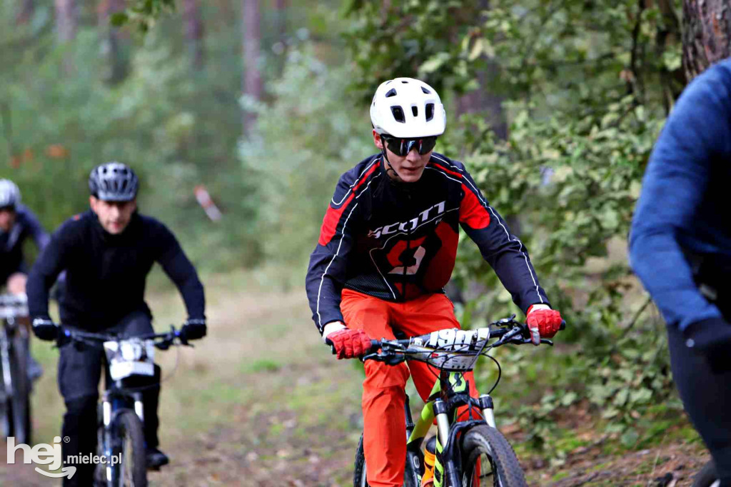 15. Wyścig o Pietruszkę