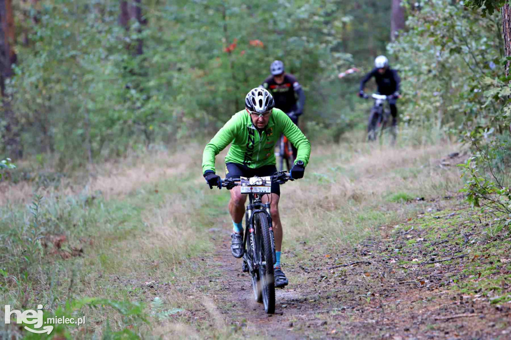 15. Wyścig o Pietruszkę