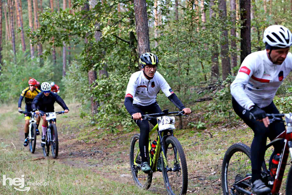 15. Wyścig o Pietruszkę