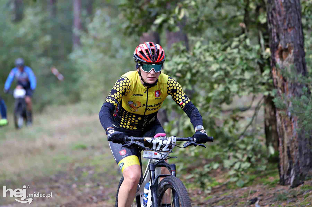 15. Wyścig o Pietruszkę