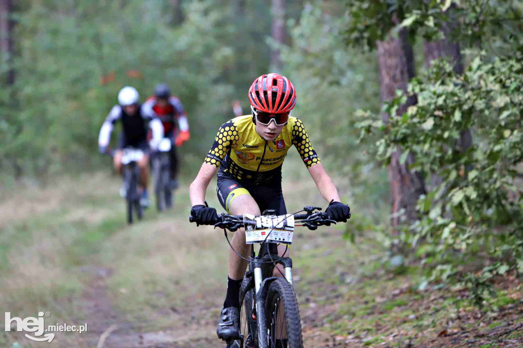 15. Wyścig o Pietruszkę