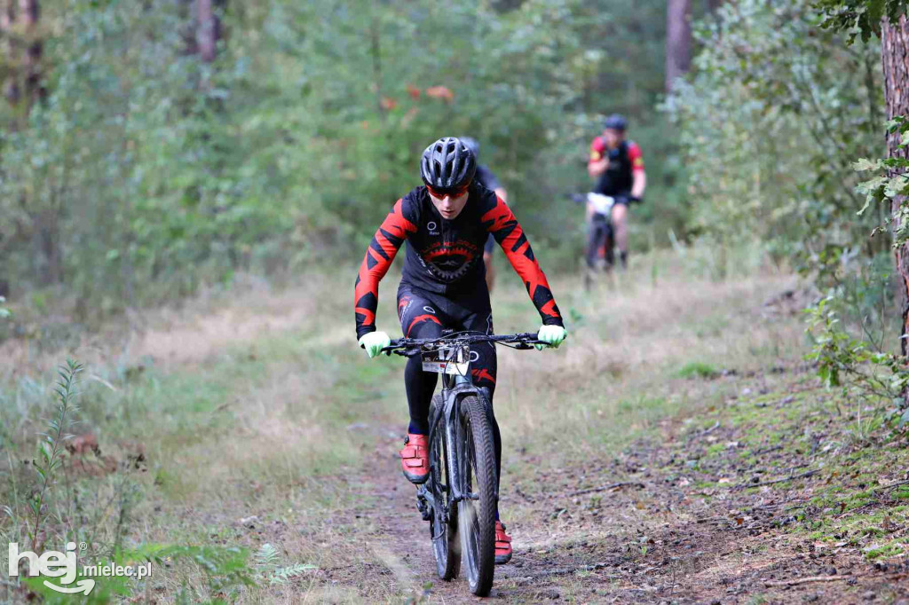 15. Wyścig o Pietruszkę