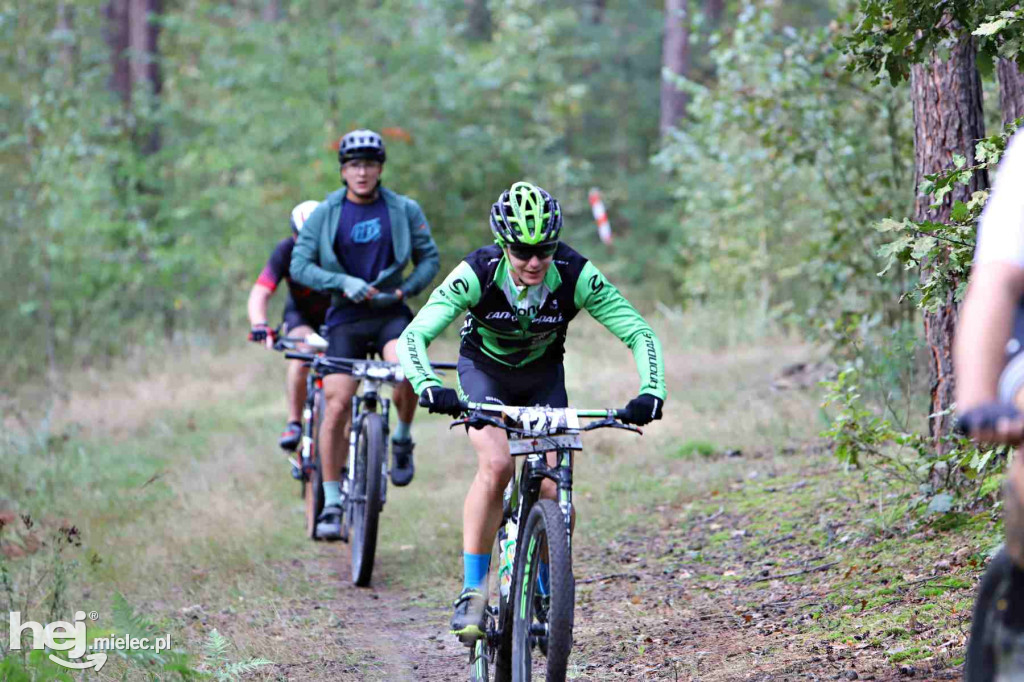 15. Wyścig o Pietruszkę