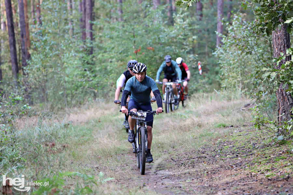 15. Wyścig o Pietruszkę