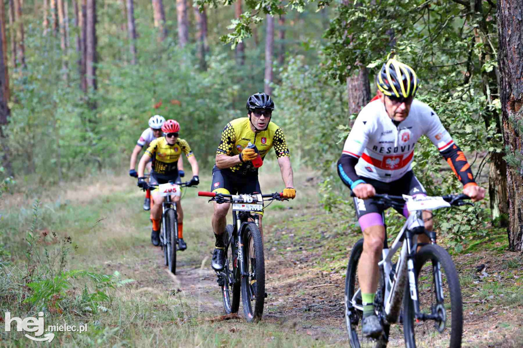 15. Wyścig o Pietruszkę