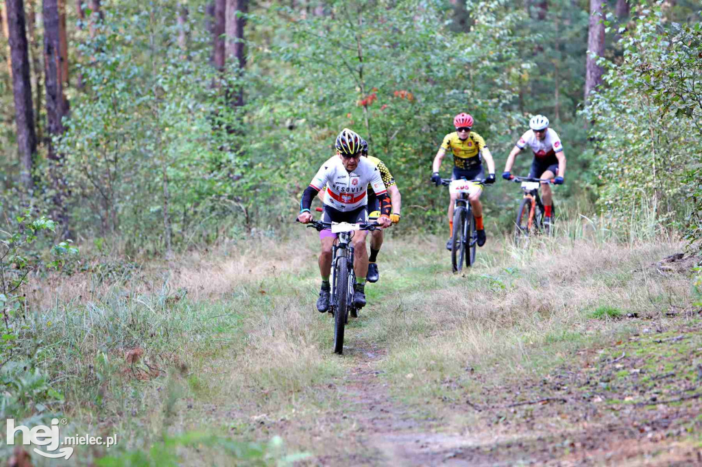 15. Wyścig o Pietruszkę