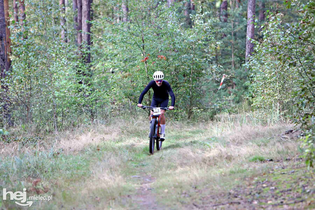 15. Wyścig o Pietruszkę