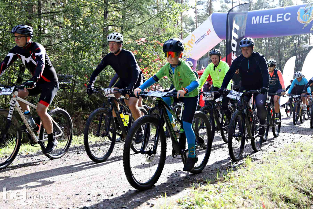 15. Wyścig o Pietruszkę