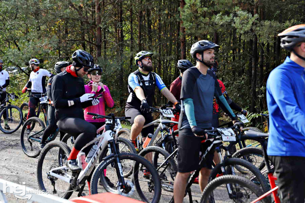 15. Wyścig o Pietruszkę