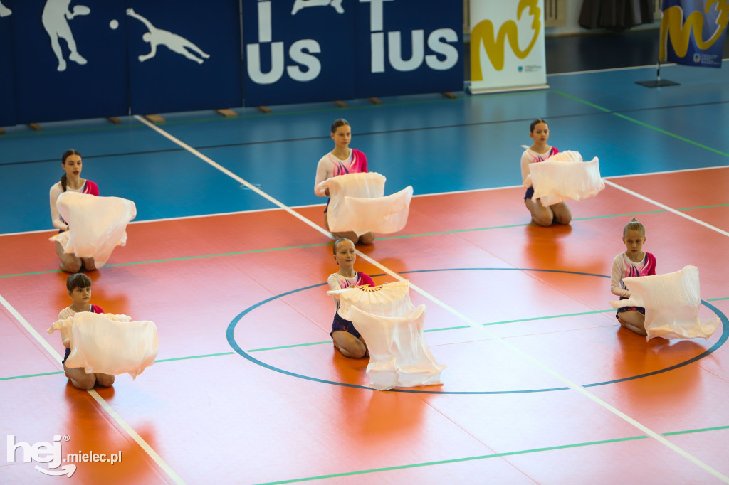 Nowoczesna hala sportowo-widowiskowa otwarta w Mielcu