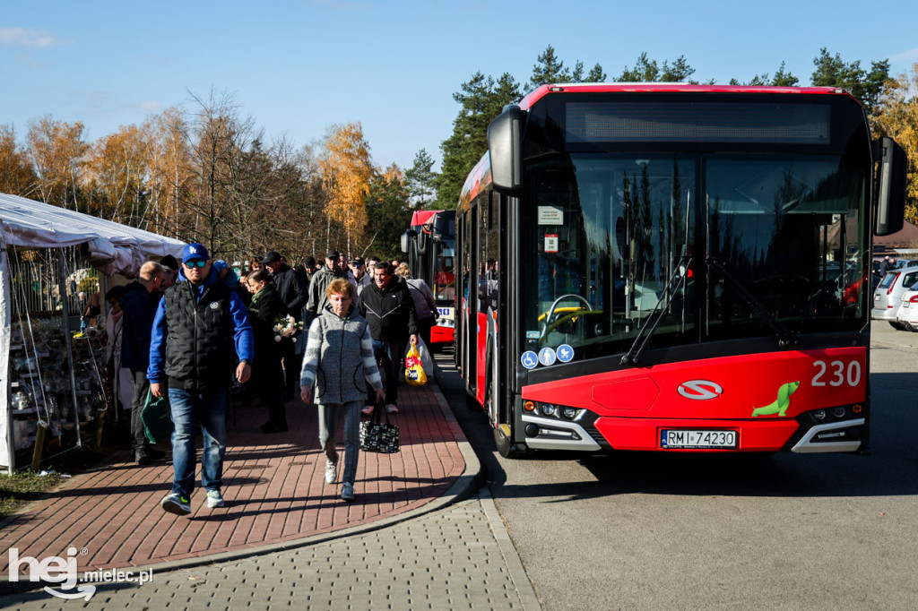 Wszystkich Świętych - 1 listopada na Cmentarzu Komunalnym