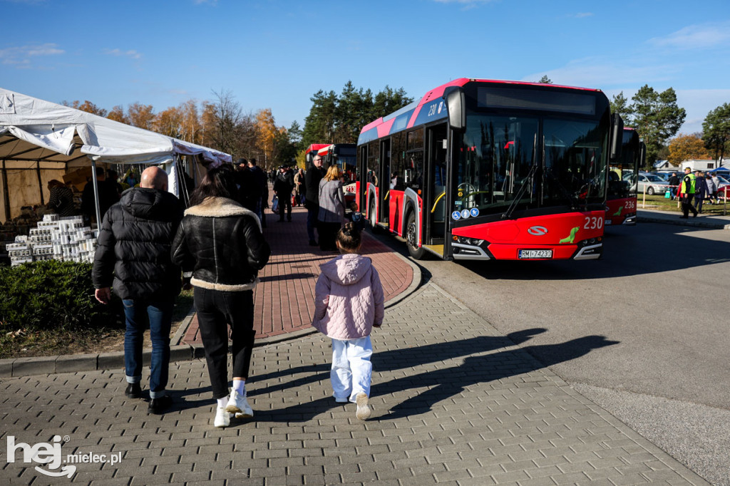 Wszystkich Świętych - 1 listopada na Cmentarzu Komunalnym