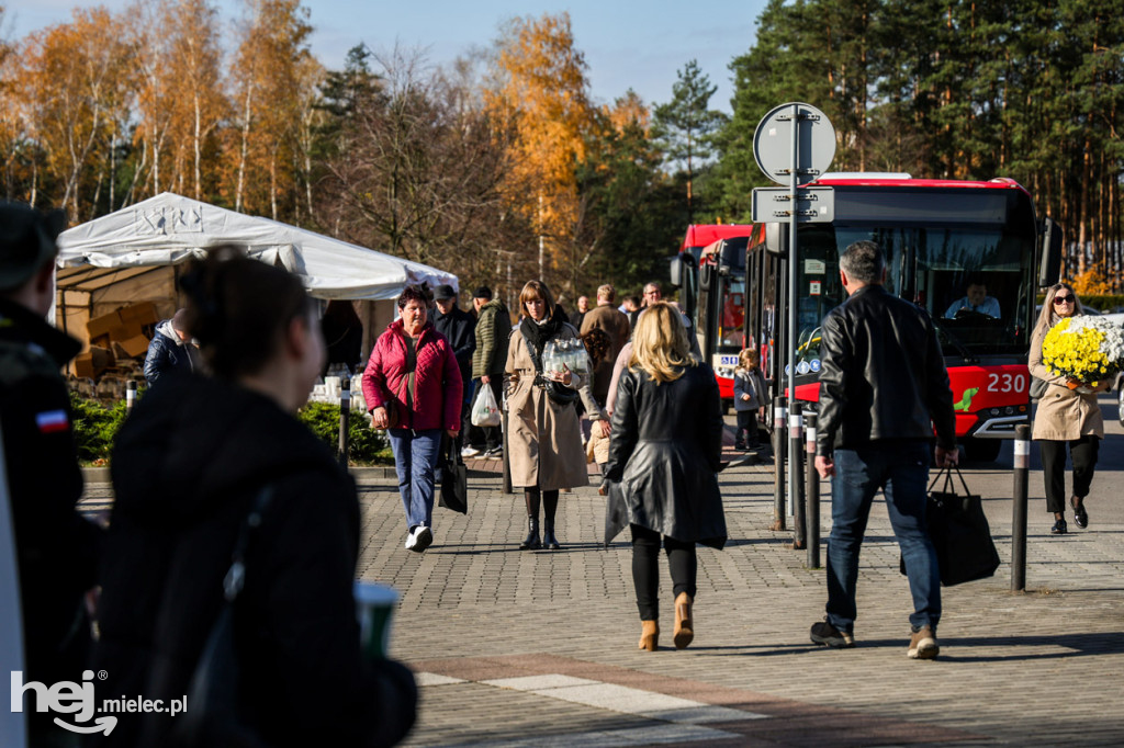 Wszystkich Świętych - 1 listopada na Cmentarzu Komunalnym
