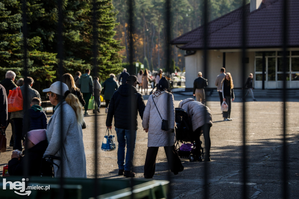 Wszystkich Świętych - 1 listopada na Cmentarzu Komunalnym