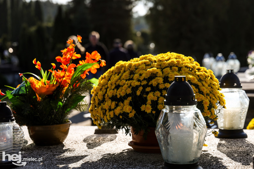 Wszystkich Świętych - 1 listopada na Cmentarzu Komunalnym