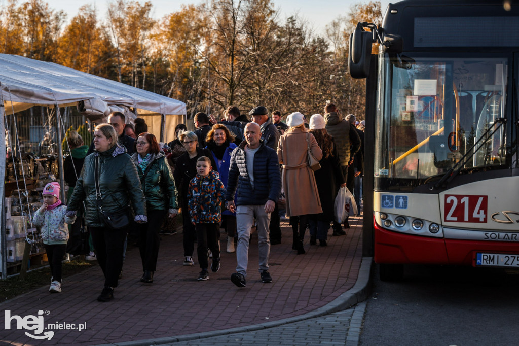 Wszystkich Świętych - 1 listopada na Cmentarzu Komunalnym