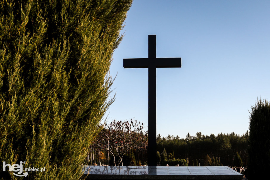 Wszystkich Świętych - 1 listopada na Cmentarzu Komunalnym