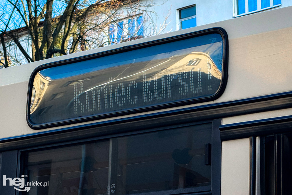 Autobus uderzył w drzewo w centrum Mielca