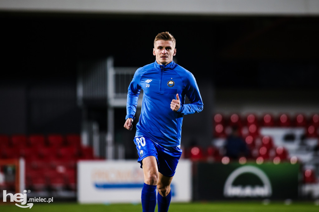 Puszcza Niepołomice - FKS Stal Mielec