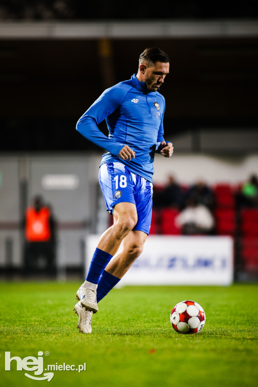 Puszcza Niepołomice - FKS Stal Mielec