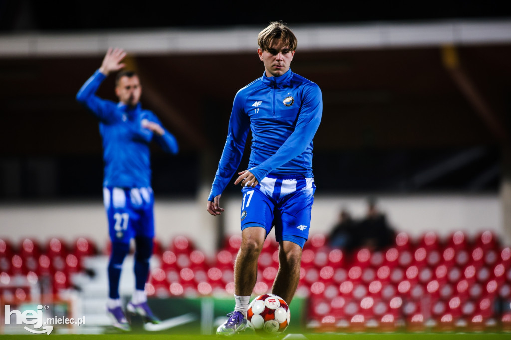 Puszcza Niepołomice - FKS Stal Mielec