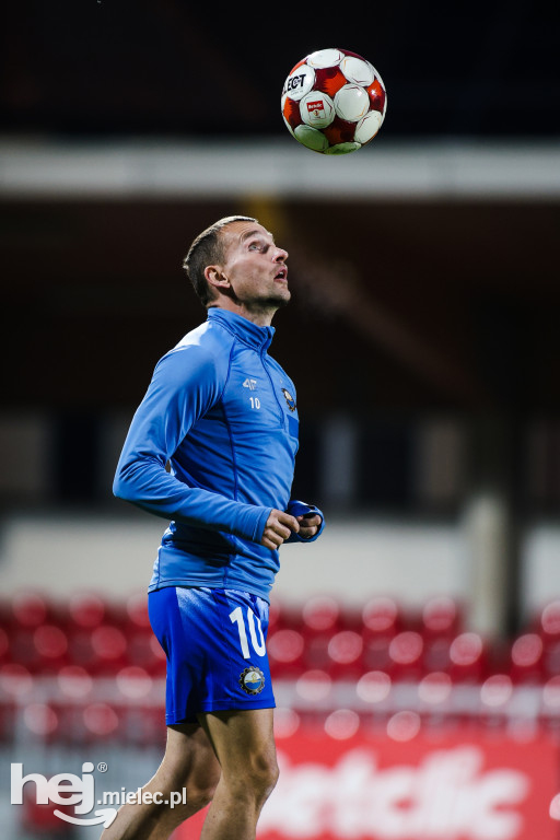 Puszcza Niepołomice - FKS Stal Mielec