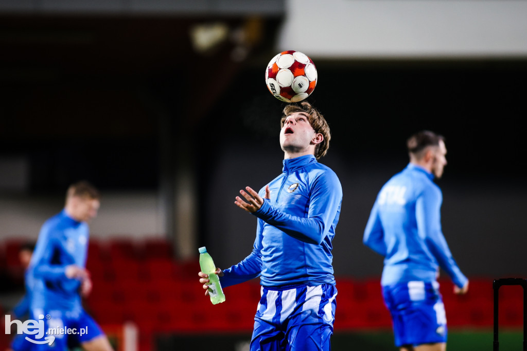 Puszcza Niepołomice - FKS Stal Mielec