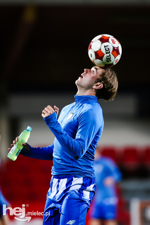 Puszcza Niepołomice - FKS Stal Mielec