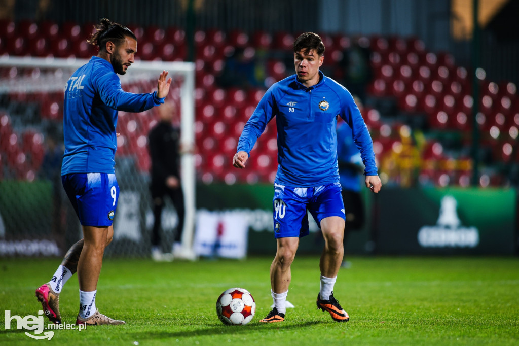 Puszcza Niepołomice - FKS Stal Mielec