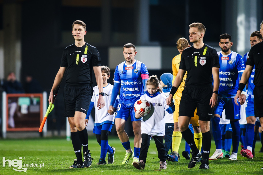 Puszcza Niepołomice - FKS Stal Mielec