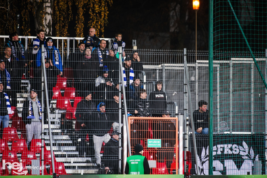 Puszcza Niepołomice - FKS Stal Mielec