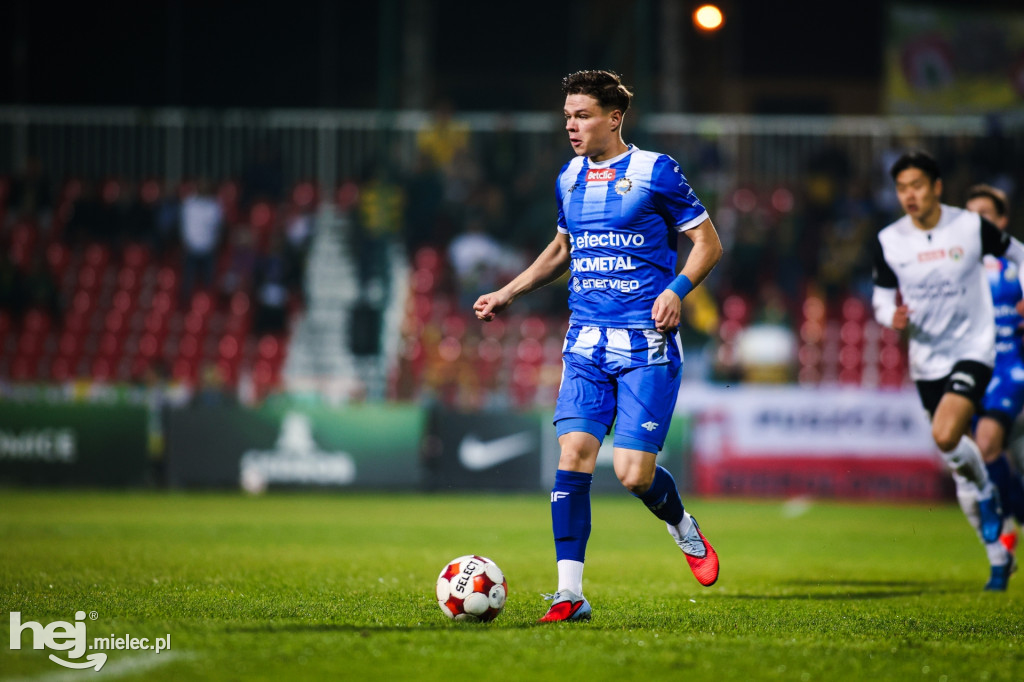 Puszcza Niepołomice - FKS Stal Mielec