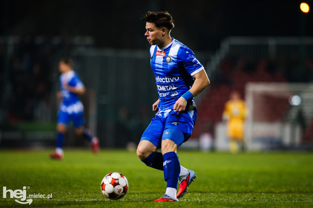 Puszcza Niepołomice - FKS Stal Mielec