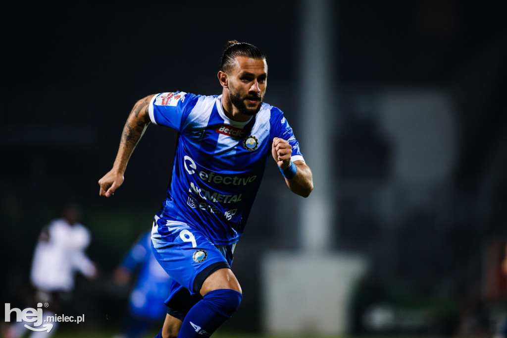 Puszcza Niepołomice - FKS Stal Mielec