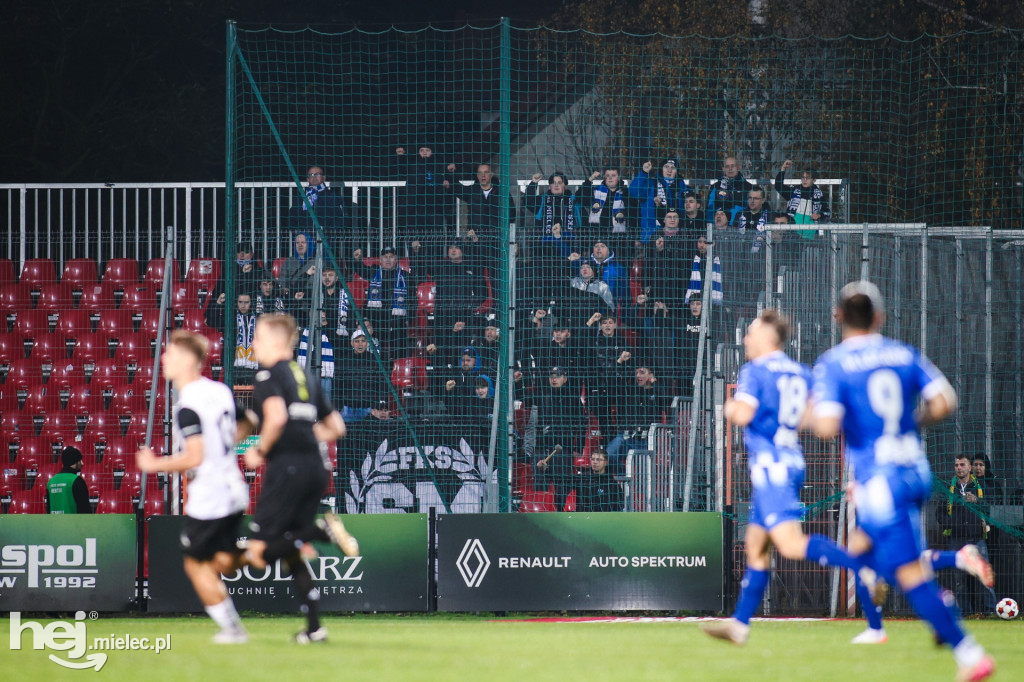 Puszcza Niepołomice - FKS Stal Mielec