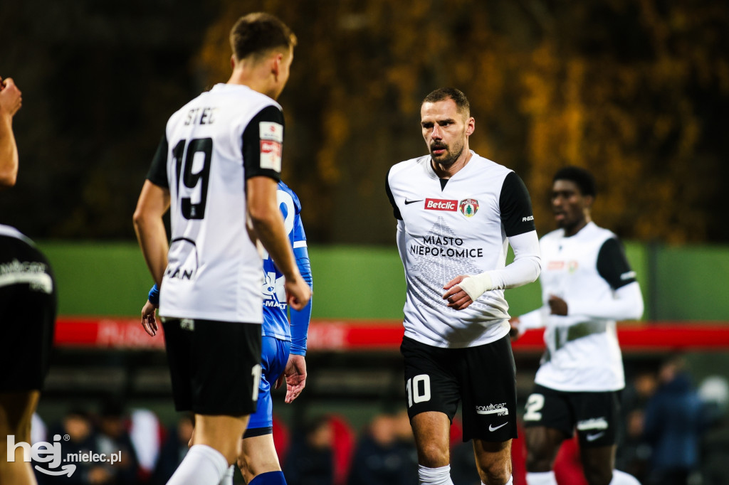 Puszcza Niepołomice - FKS Stal Mielec