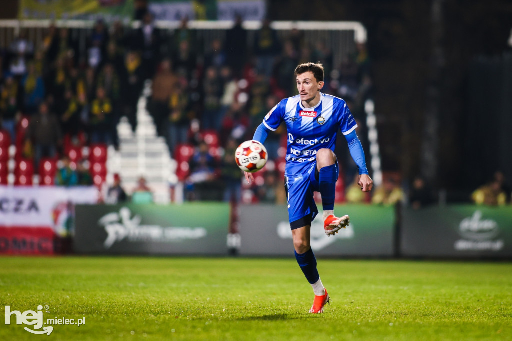 Puszcza Niepołomice - FKS Stal Mielec