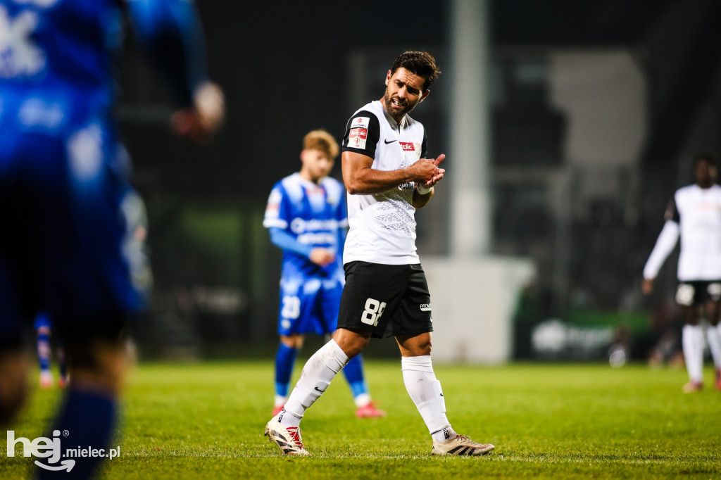 Puszcza Niepołomice - FKS Stal Mielec