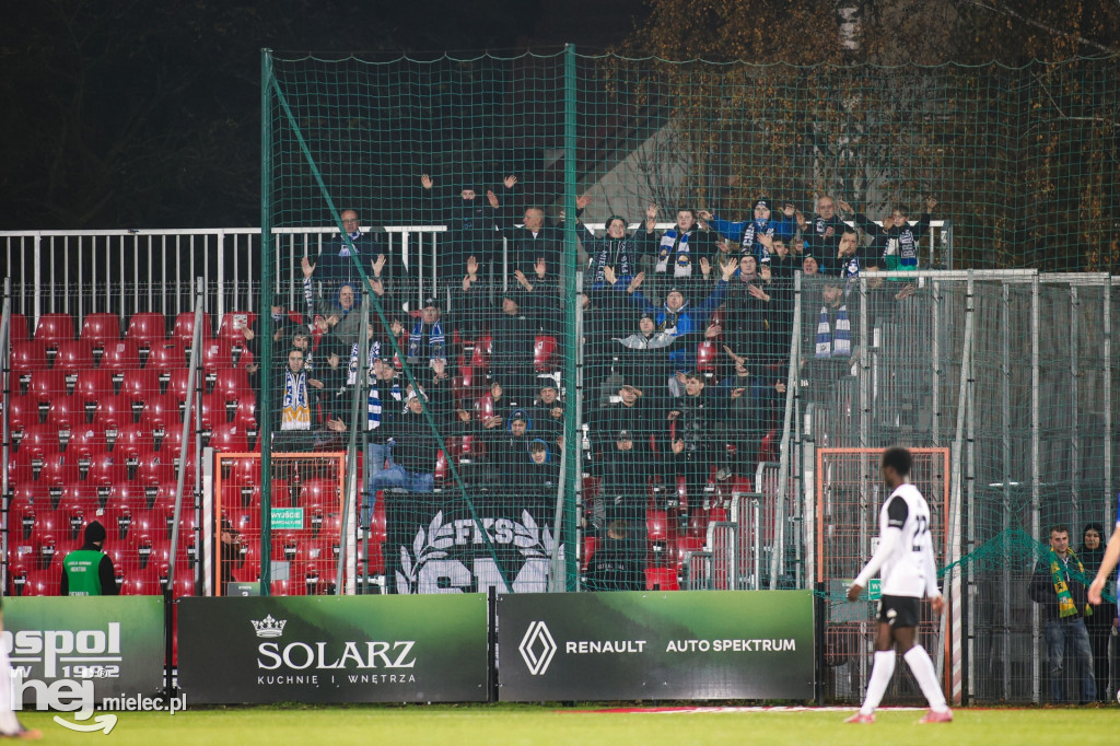 Puszcza Niepołomice - FKS Stal Mielec