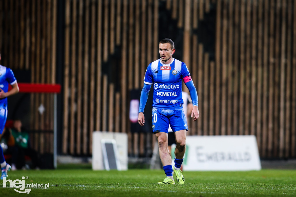 Puszcza Niepołomice - FKS Stal Mielec