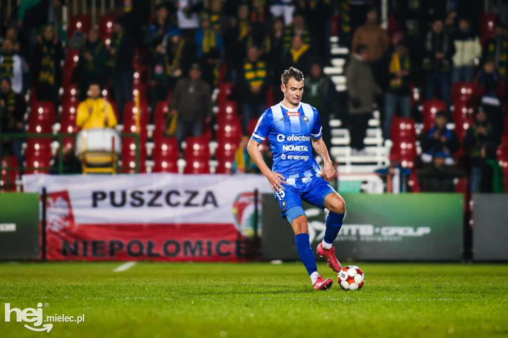 Puszcza Niepołomice - FKS Stal Mielec