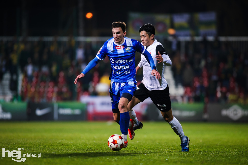 Puszcza Niepołomice - FKS Stal Mielec