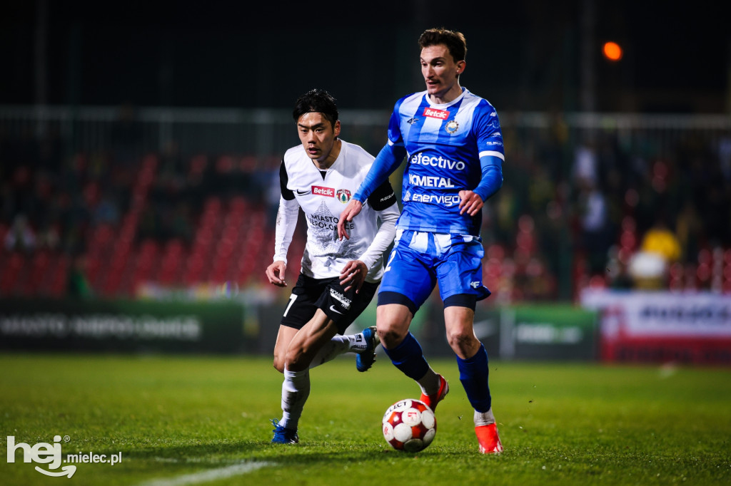 Puszcza Niepołomice - FKS Stal Mielec